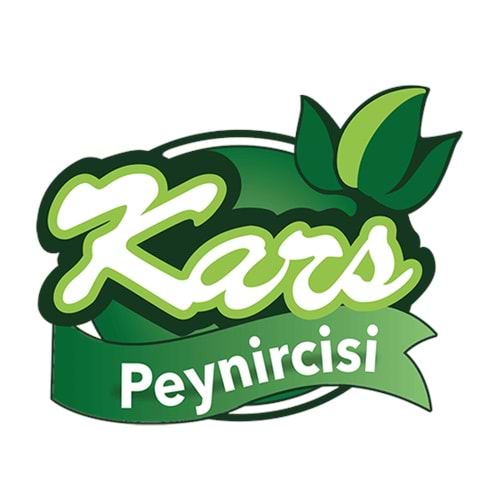 bykarspeynircisi.com